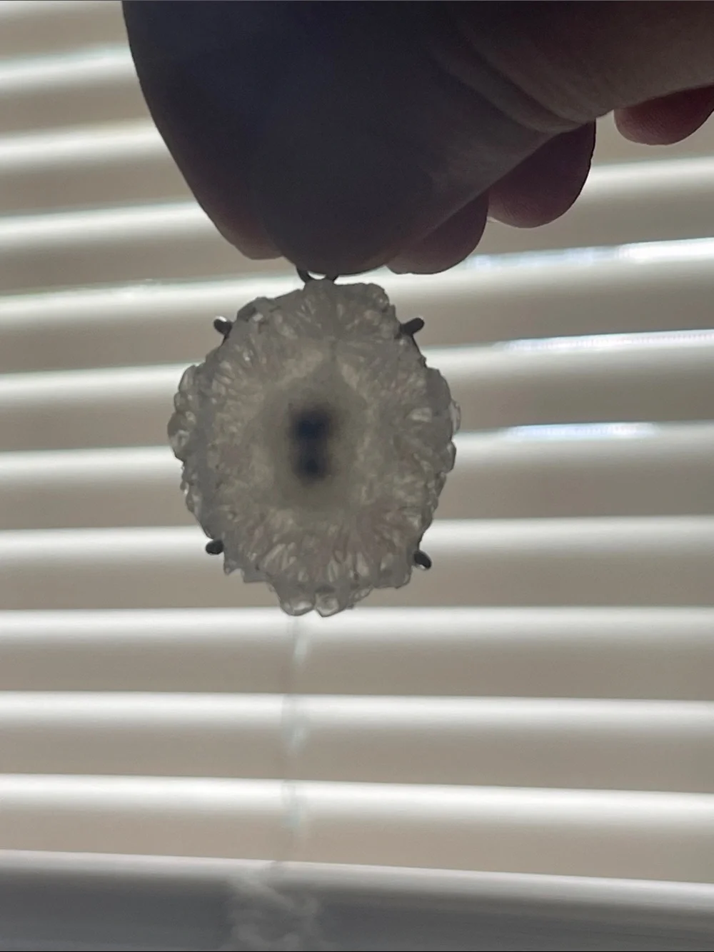 Raw White Crystal Geode Pendant Necklace